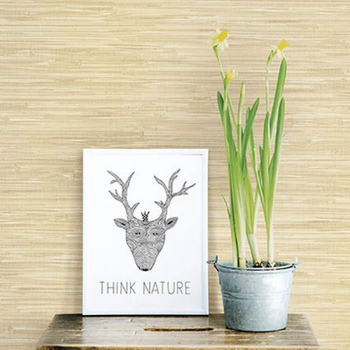 Papel Pintado Ami Ref. 2657-22267
