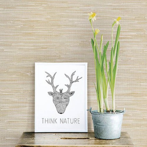 Papel Pintado Ami Ref. 2657-22269