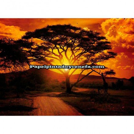 Murales Photomurals II Ref. M-055VE-P8-3,68 X 2,54