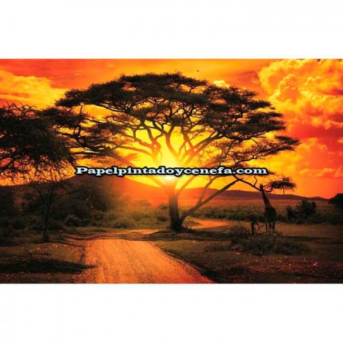 Murales Photomurals II Ref. M-400VE-P8-3,68 X 2,54