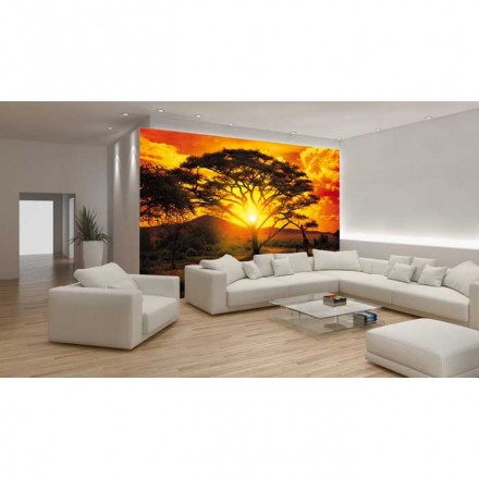Murales Photomurals II Ref. M-400VE-XXXL-4,16 X 2,54