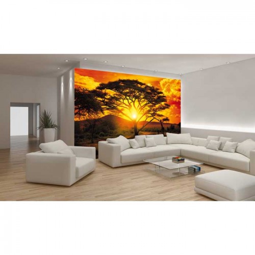 Murales Photomurals II Ref. M-400VE-XXXL-4,16 X 2,54