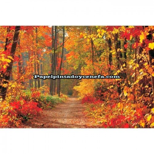 Murales Photomurals II Ref. M-4-002VE-M-1,04 X 0,7