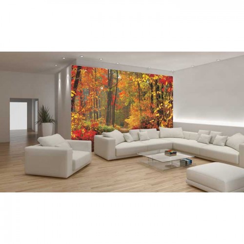 Murales Photomurals II Ref. M-4-002VE-MEDIDAS DISPONIBLES