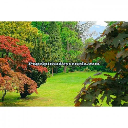 Murales Photomurals II Ref. M-4-004VE-M-1,04 X 0,7