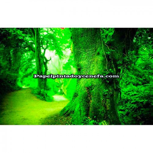 Murales Photomurals II Ref. M-290VE-M-1,04 X 0,7