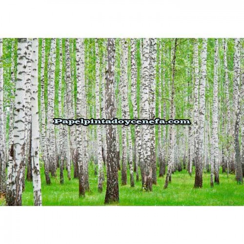 Murales Photomurals II Ref. M-157VE-MEDIDAS DISPONIBLES
