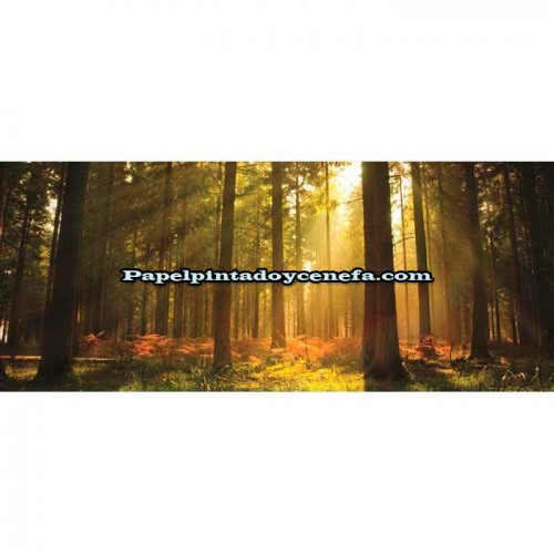 Murales Photomurals II Ref. M-576VE-M-1,04 X 0,7
