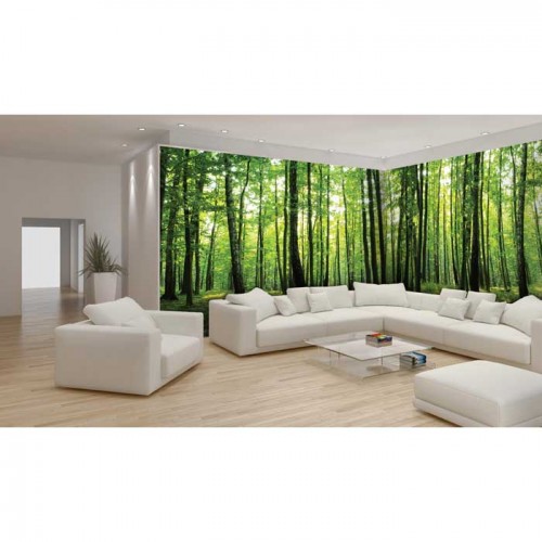 Murales Photomurals II Ref. M-444VE-EXXL-6,24 X 2,19