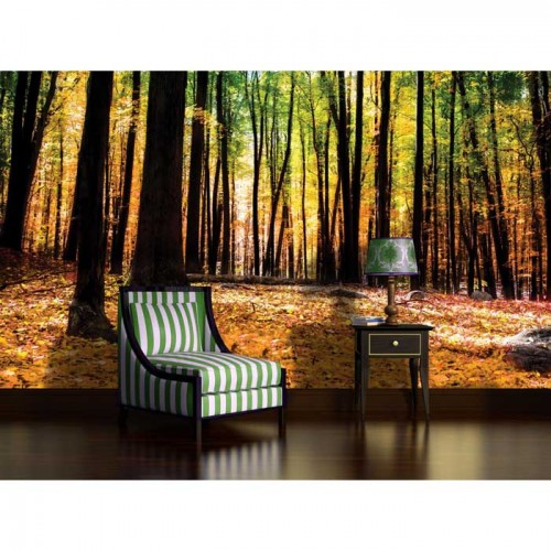 Murales Photomurals II Ref. M-1220VE-XXXL-4,16 X 2,54