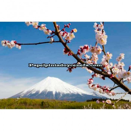 Murales Photomurals II Ref. M-8-006VE-XL-2,08 X 1,46