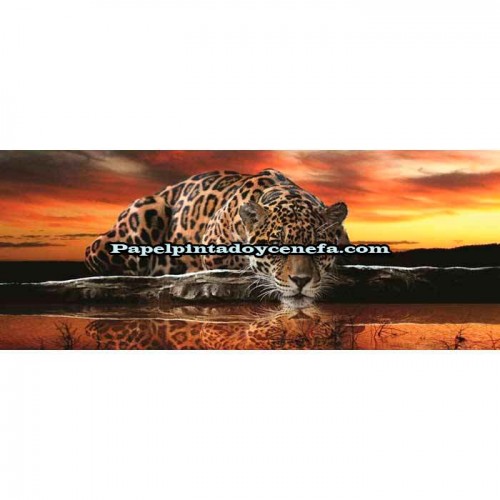 Murales Photomurals II Ref. M-126VE-XXXL-4,16 X 2,54