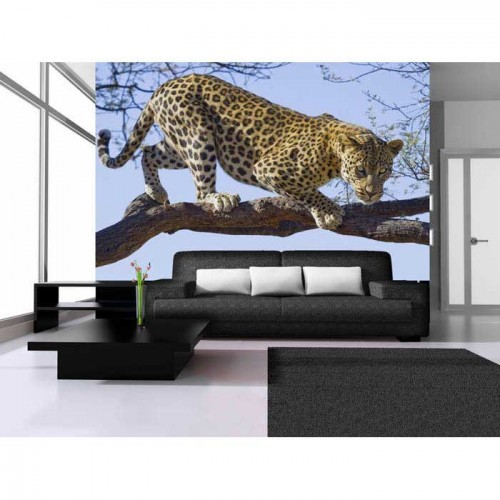 Murales Photomurals II Ref. M-176VE-M-1,04 X 0,7