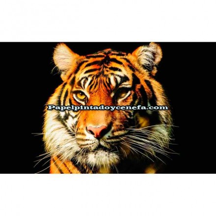 Murales Photomurals II Ref. M-1964VE-MEDIDAS DISPONIBLES