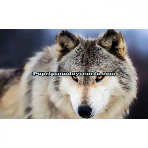 Murales Photomurals II Ref. M-2938VE-M-1,04 X 0,7