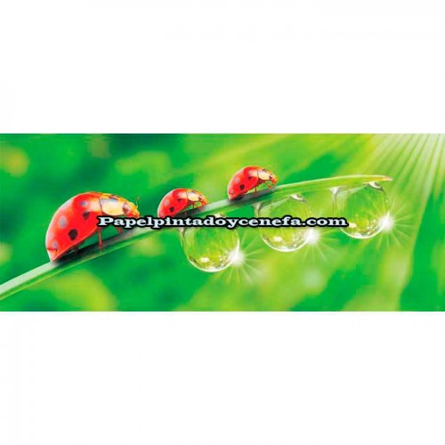 Murales Photomurals II Ref. M-121VE-M-1,04 X 0,7