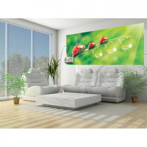 Murales Photomurals II Ref. M-121VE-L-1,52 X 1,04