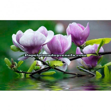 Murales Photomurals II Ref. M-160VE-M-1,04 X 0,7