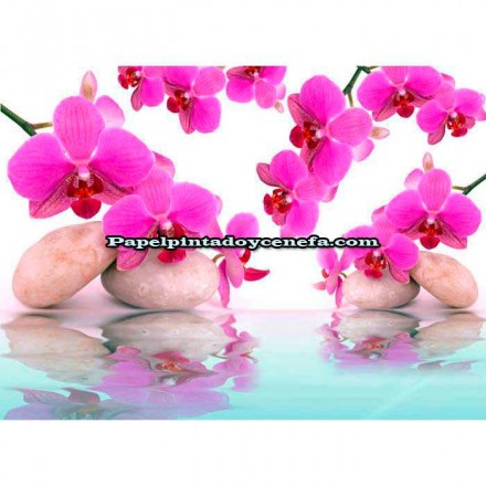 Murales Photomurals II Ref. M-151VE-XXXL-4,16 X 2,54