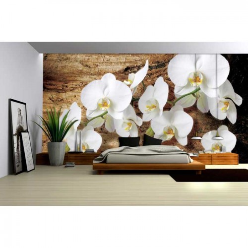 Murales Photomurals II Ref. M-1017VE-MEDIDAS DISPONIBLES