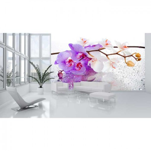 Murales Photomurals II Ref. M-869VE-P8-3,68 X 2,54