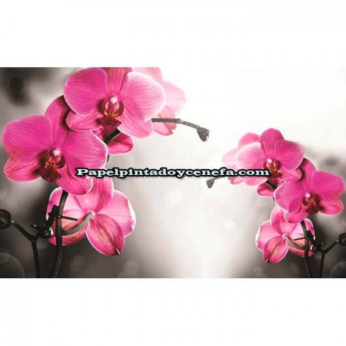 Murales Photomurals II Ref. M-1034VE-M-1,04 X 0,7