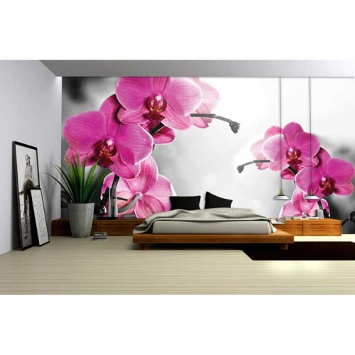 Murales Photomurals II Ref. M-1034VE-L-1,52 X 1,04