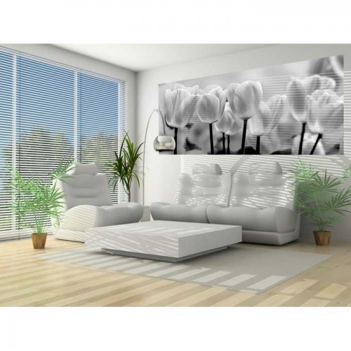Murales Photomurals II Ref. M-287VE-L-1,52 X 1,04