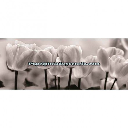 Murales Photomurals II Ref. M-287VE-XXL-3,12 X 2,19