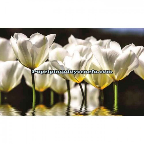 Murales Photomurals II Ref. M-1101VE-XL-2,08 X 1,46