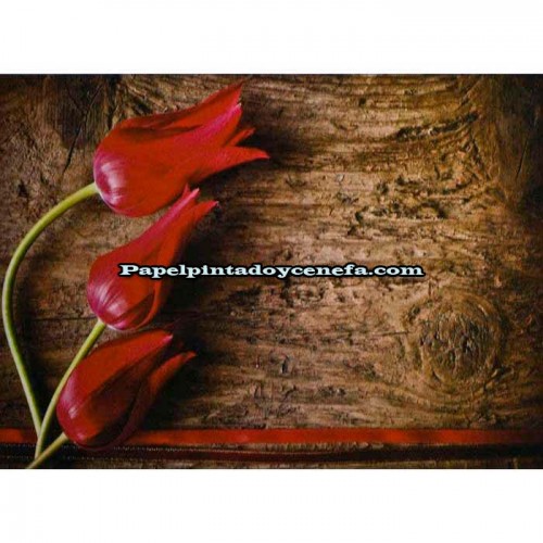 Murales Photomurals II Ref. M-272VE-M-1,04 X 0,7