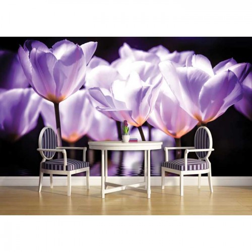 Murales Photomurals II Ref. M-1104VE-M-1,04 X 0,7