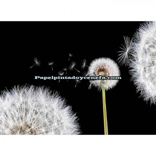 Murales Photomurals II Ref. M-125VE-L-1,52 X 1,04