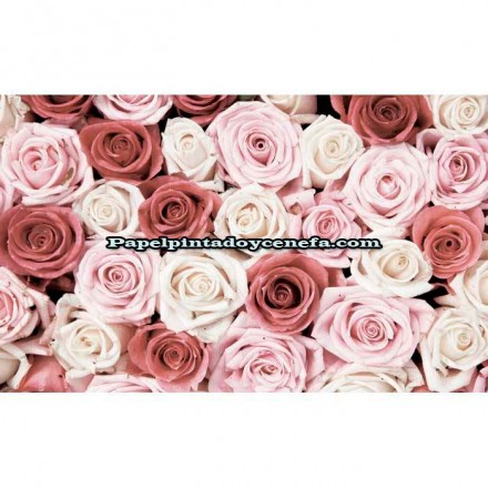Murales Photomurals II Ref. M-1629VE-M-1,04 X 0,7