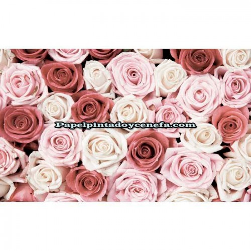 Murales Photomurals II Ref. M-1629VE-M-1,04 X 0,7