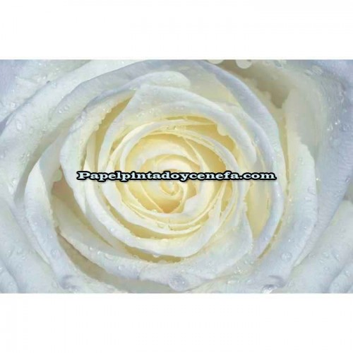 Murales Photomurals II Ref. M-663VE-MEDIDAS DISPONIBLES