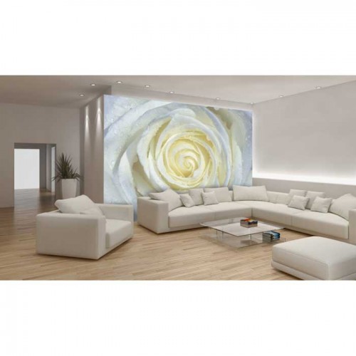 Murales Photomurals II Ref. M-663VE-MEDIDAS DISPONIBLES