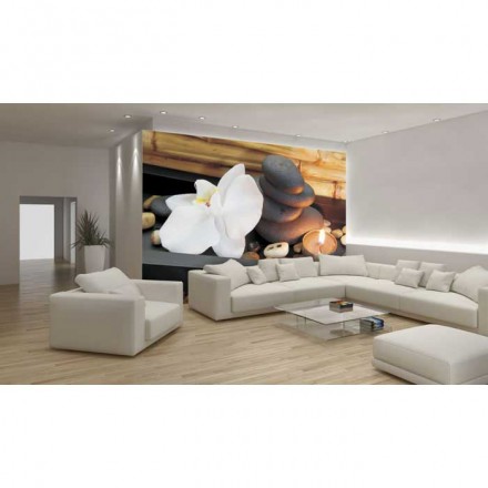 Murales Photomurals II Ref. M-050VE-MEDIDAS DISPONIBLES