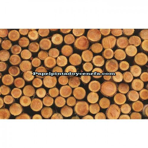 Murales Photomurals II Ref. M-1068VE-M-1,04 X 0,7