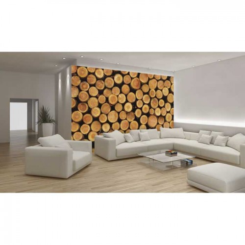 Murales Photomurals II Ref. M-1068VE-M-1,04 X 0,7