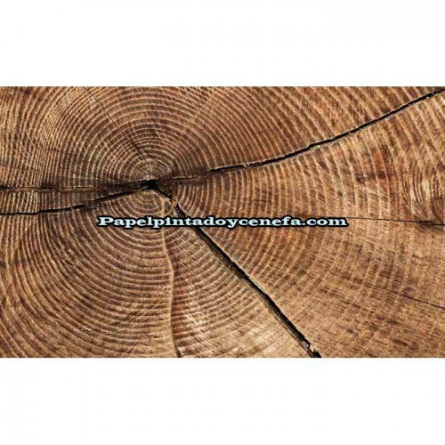 Murales Photomurals II Ref. M-2006VE-MEDIDAS DISPONIBLES