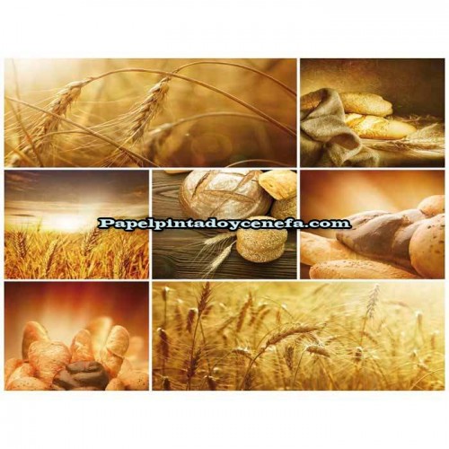 Murales Photomurals II Ref. M-103VE-L-1,52 X 1,04
