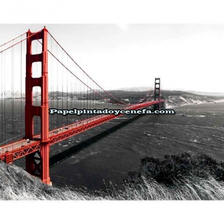 Murales Photomurals II Ref. M-154VE-M-1,04 X 0,7