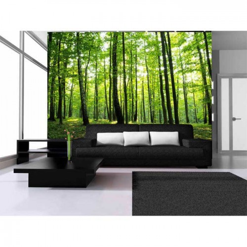 Murales Photomurals II Ref. M-186VE-MEDIDAS DISPONIBLES