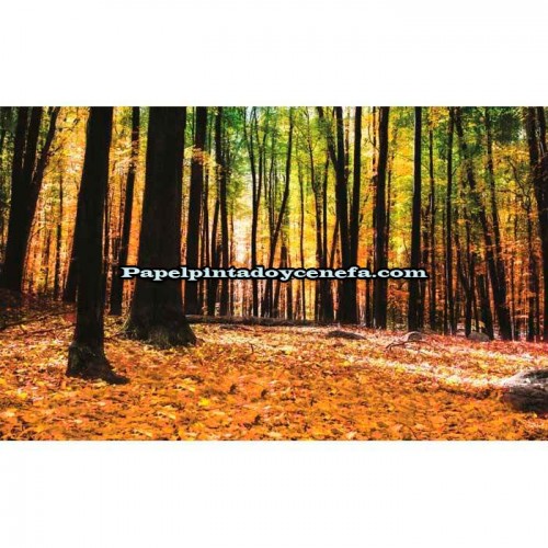 Murales Photomurals II Ref. M-1220VE-XXXL-4,16 X 2,54