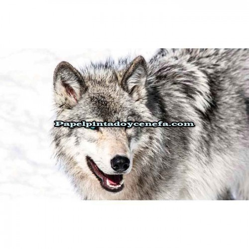 Murales Photomurals II Ref. M-2940VE-L-1,52 X 1,04