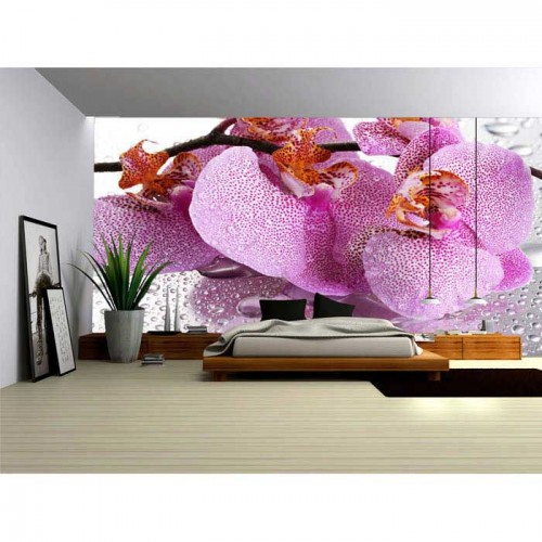 Murales Photomurals II Ref. M-184VE-MEDIDAS DISPONIBLES