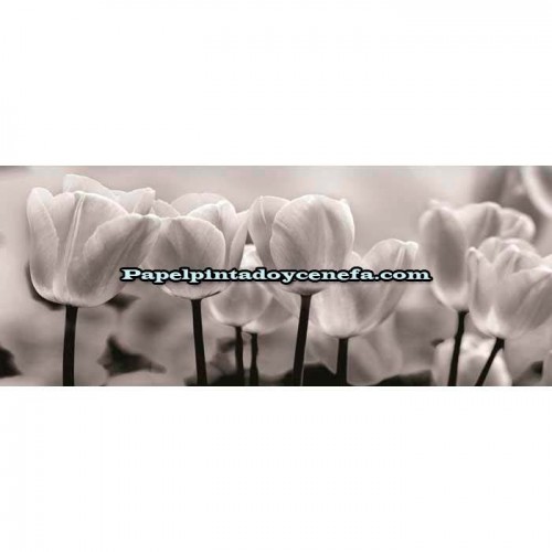 Murales Photomurals II Ref. M-287VE-XXL-3,12 X 2,19