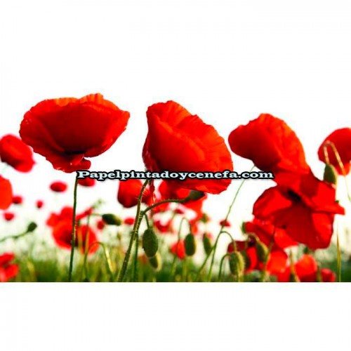 Murales Photomurals II Ref. M-1639VE-MEDIDAS DISPONIBLES