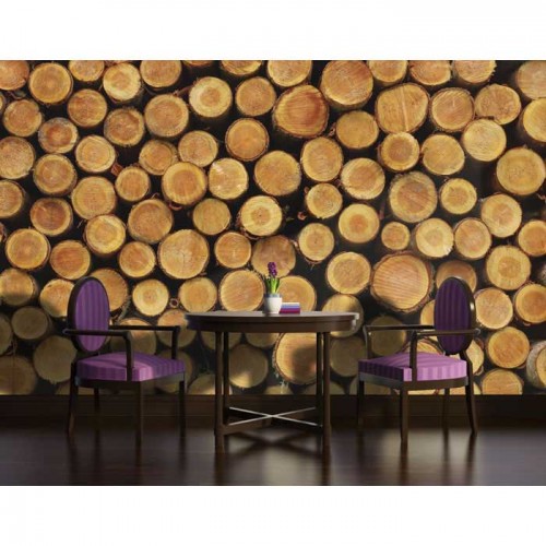 Murales Photomurals II Ref. M-1068VE-M-1,04 X 0,7